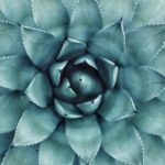 Mes-expériences-de-sophrologue
